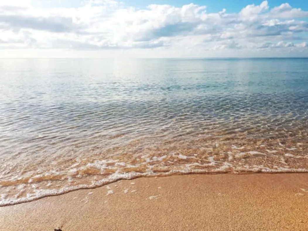 게스트하우스 Secluded And Modern Beachfront House 호텔 나사우